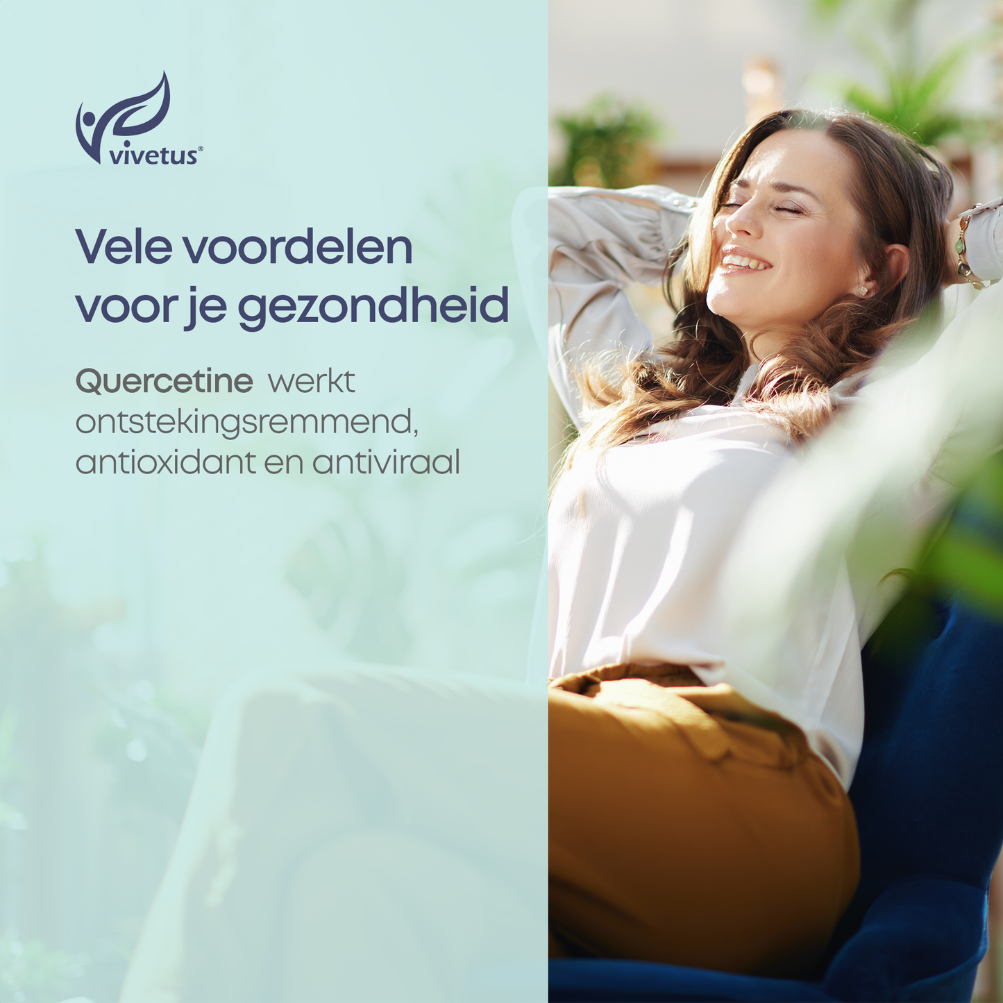 Vivetus® Quercetin - 60 capsules - 500mg